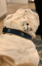 Load image into Gallery viewer, Exit 10 Dog Collar
